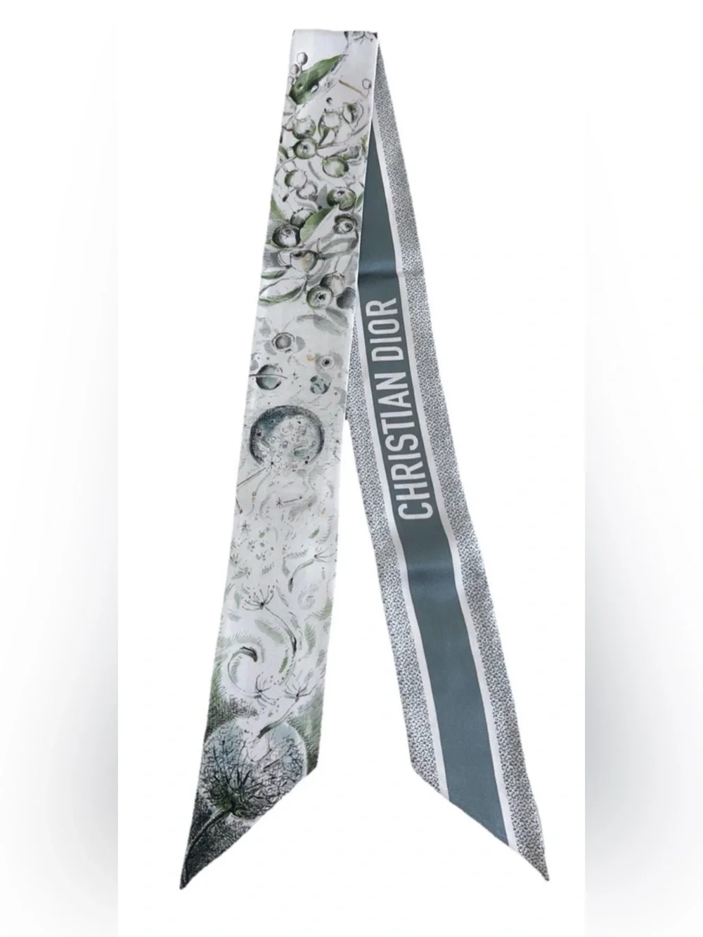 Dior Jardin D’hiver Mitzah Silk Scarf